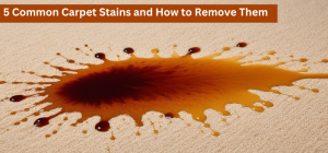 5 Common Carpet Stains and How to Remove Them