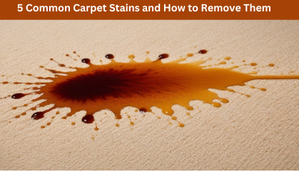 5 Common Carpet Stains and How to Remove Them