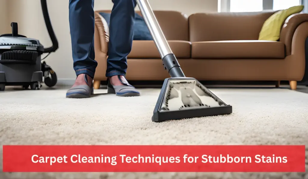 Carpet cleaning professionals clean the stubborn stains on the carpet.