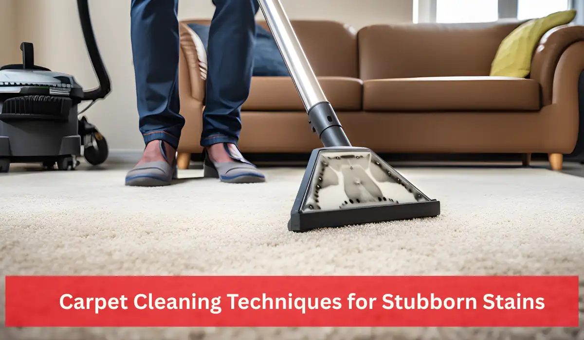 Carpet cleaning professionals clean the stubborn stains on the carpet.